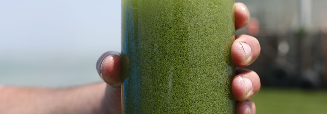 Media Name: ap290118547999.jpg