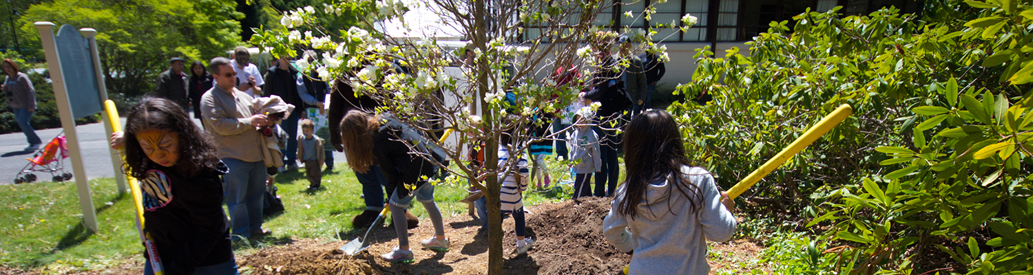 Media Name: shutterstock_136544312.jpg