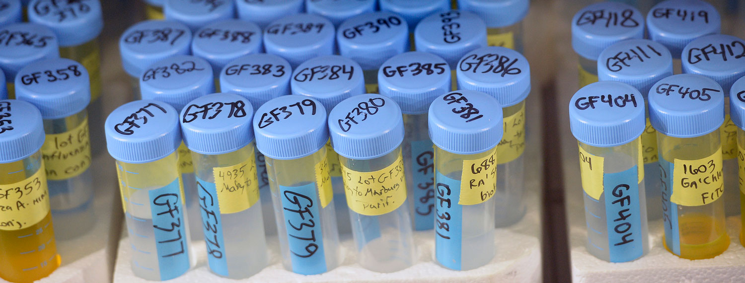 Media Name: gettyimages-611555090-edit.jpg