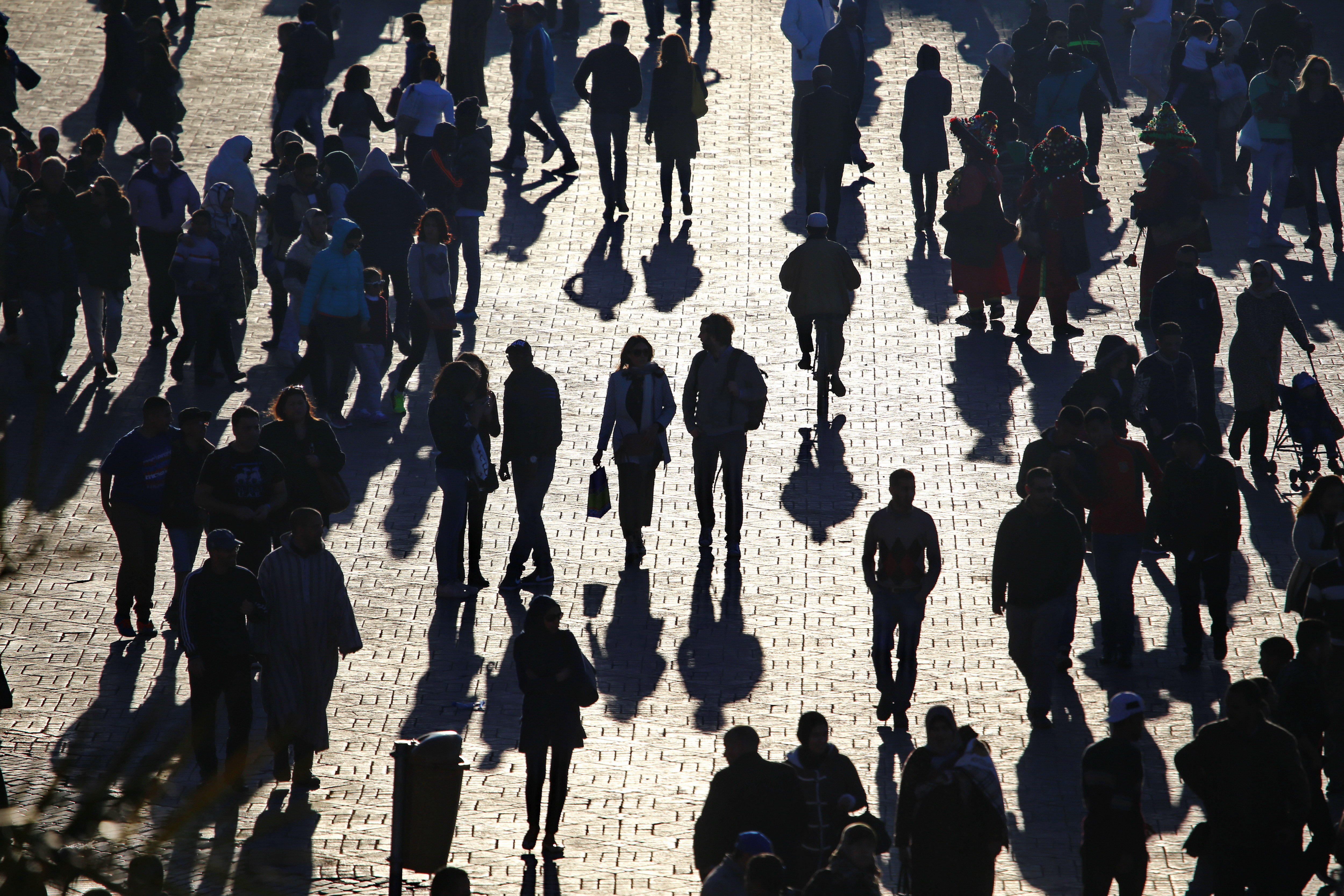 Media Name: shutterstock_537148279.jpg