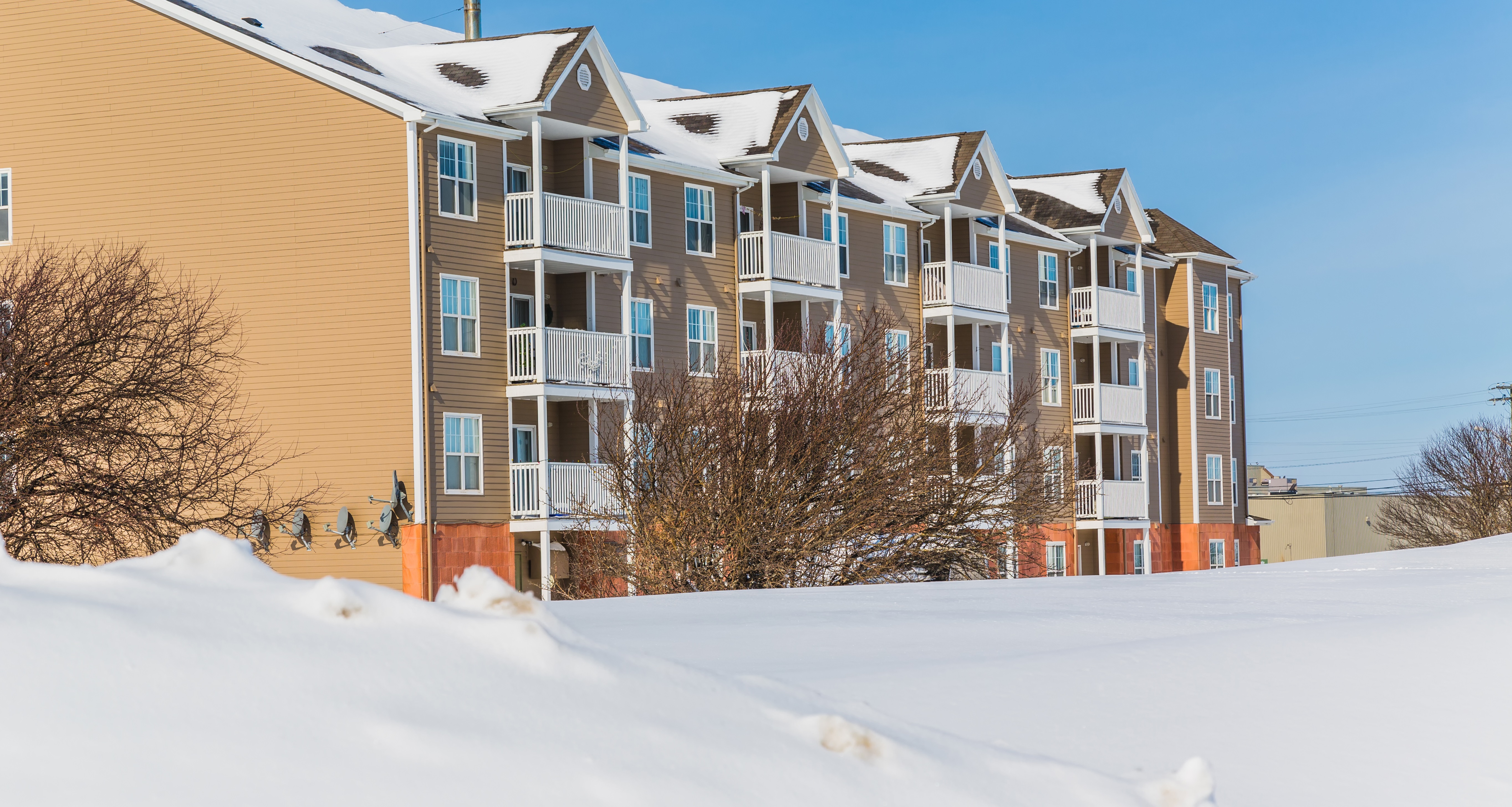 Media Name: shutterstock_225654085_cropped.jpg