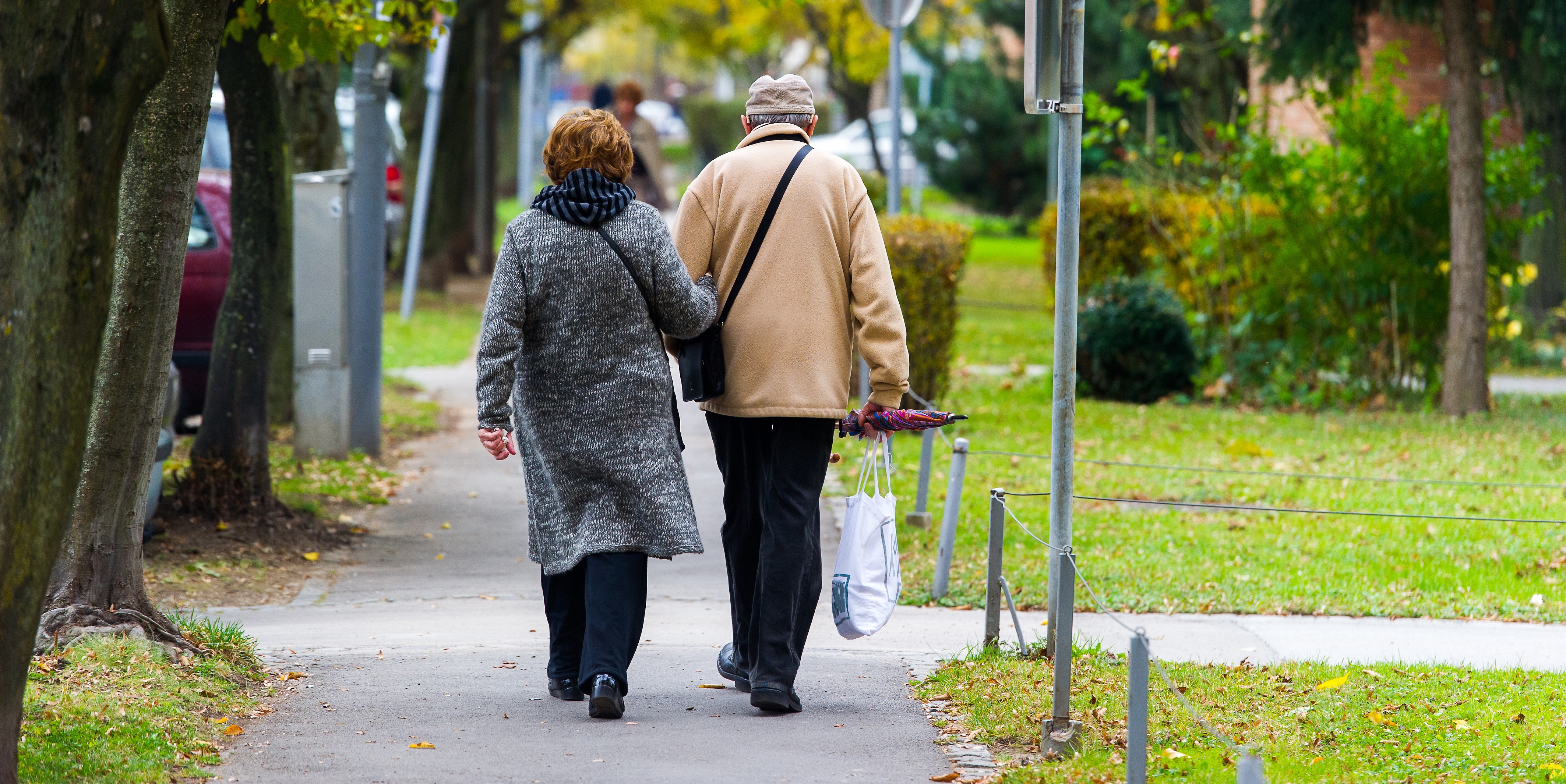 Media Name: shutterstock_228358045_cropped.jpg