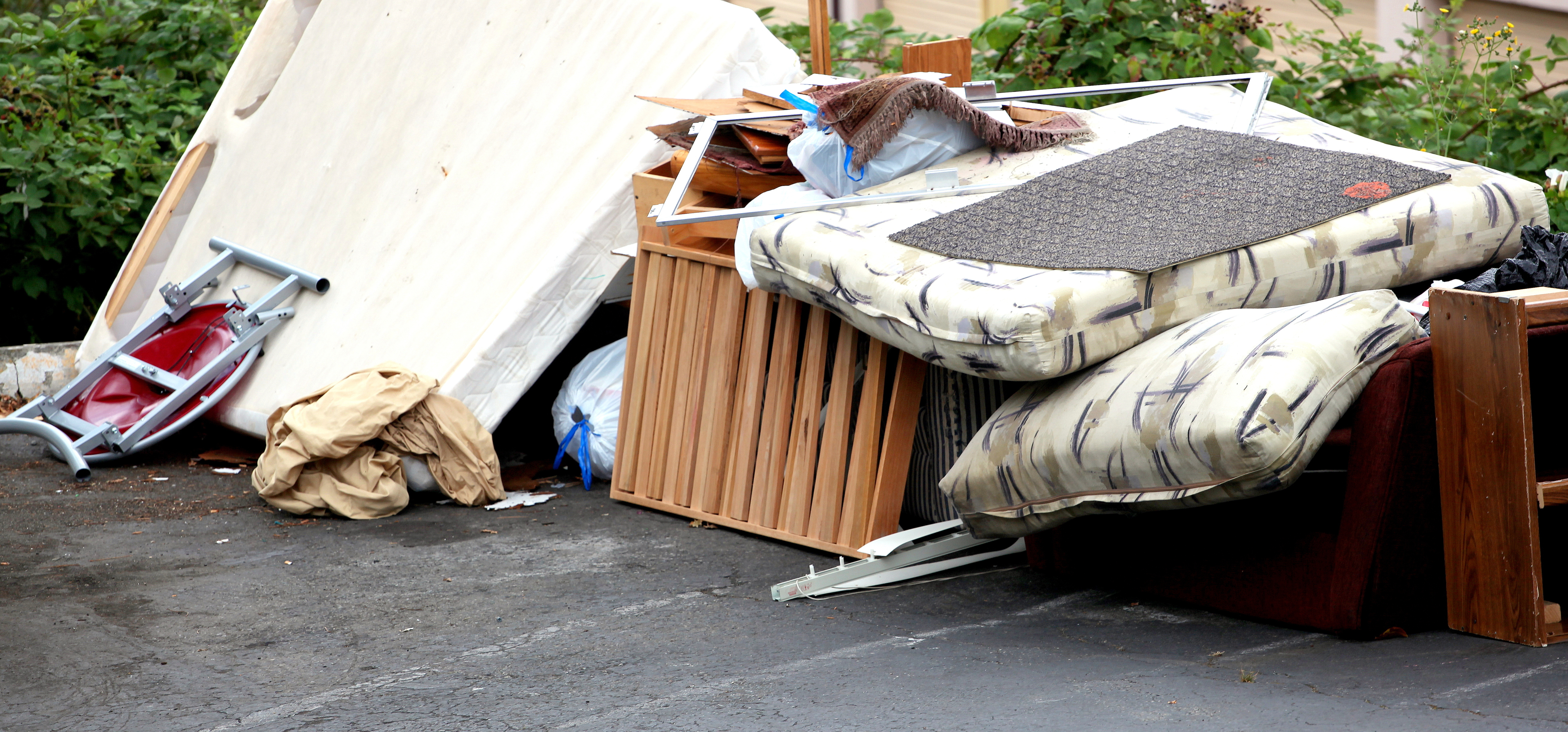 Media Name: shutterstock_1063259687_cropped.jpg