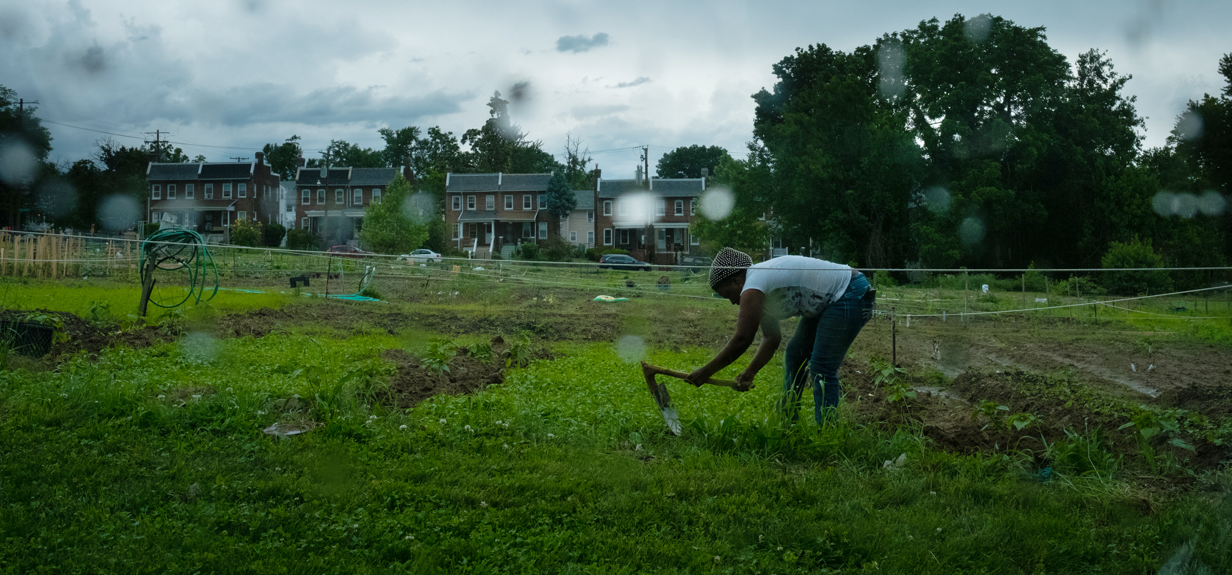 Woman works in a community garden in Washington, DC