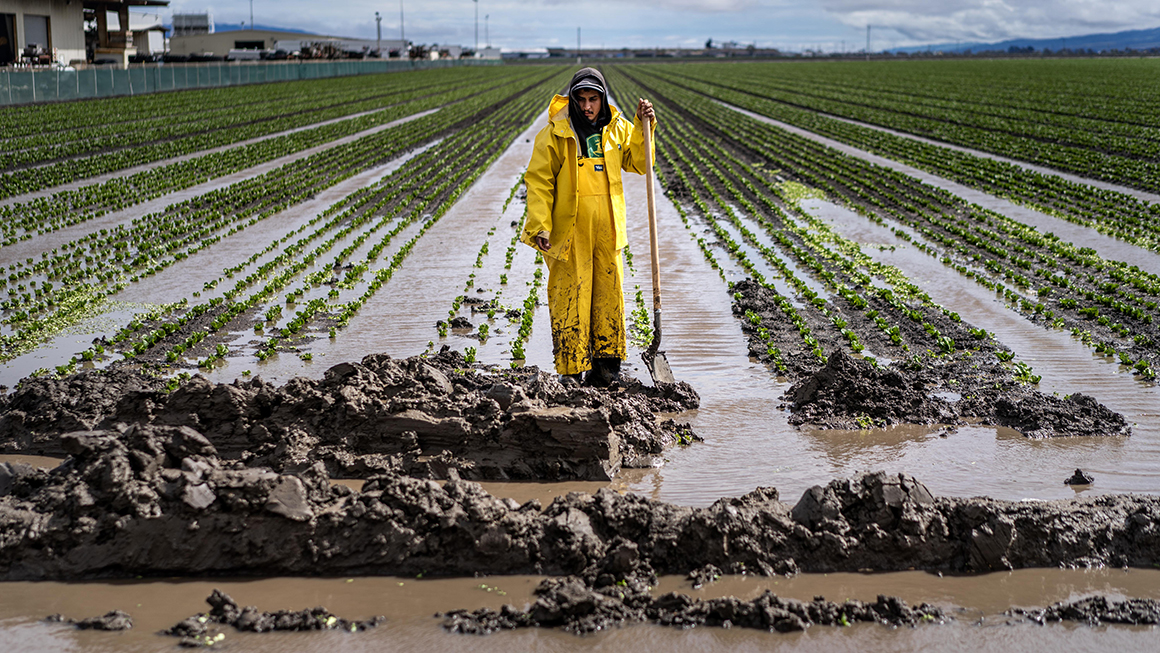 During a break in the rain farm workers drain lettuce fields of flood water as an atmospheric river storm slams California