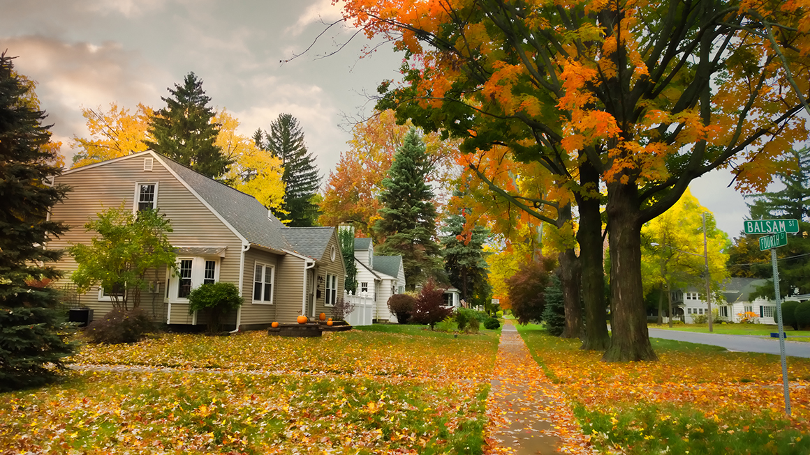 A suburban neighborhood during fall. 