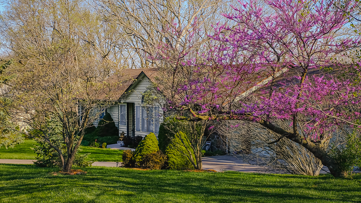 photo of house with front yard and trees