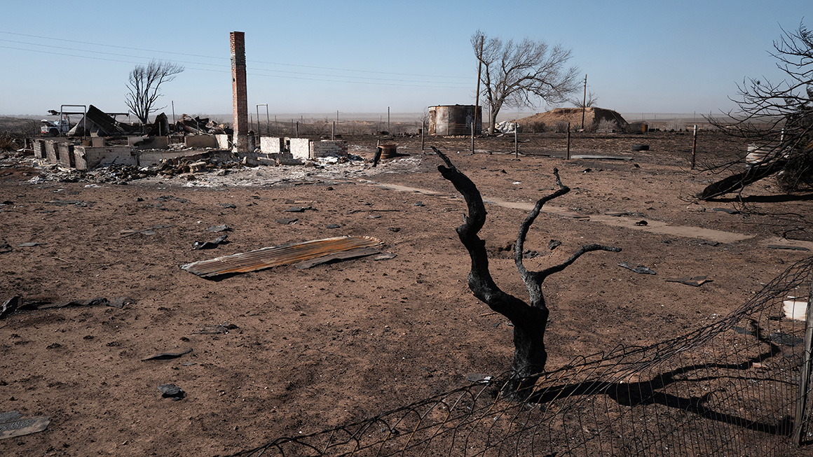 Aftermath of a wildfire