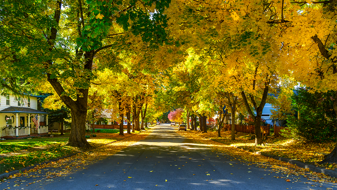 A residential street. 