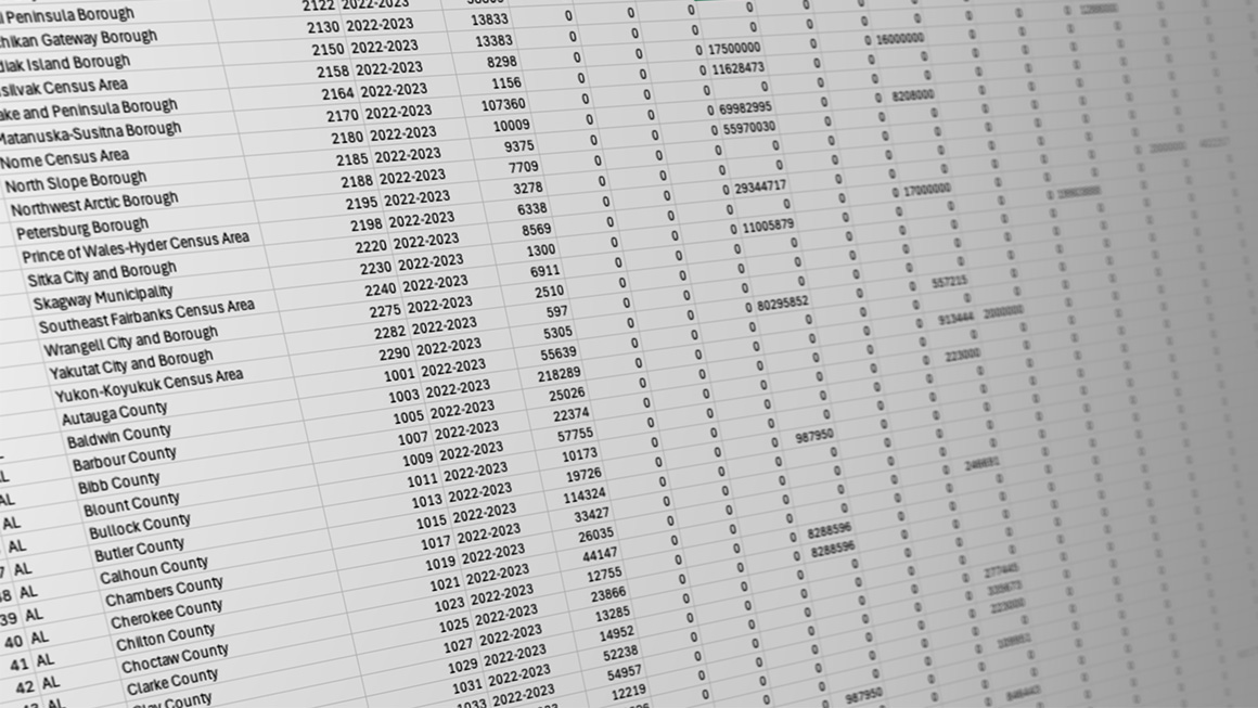 An image of a data set on a computer screen. 