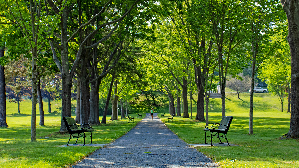 A person walks in a public park on a path flanked by benches.