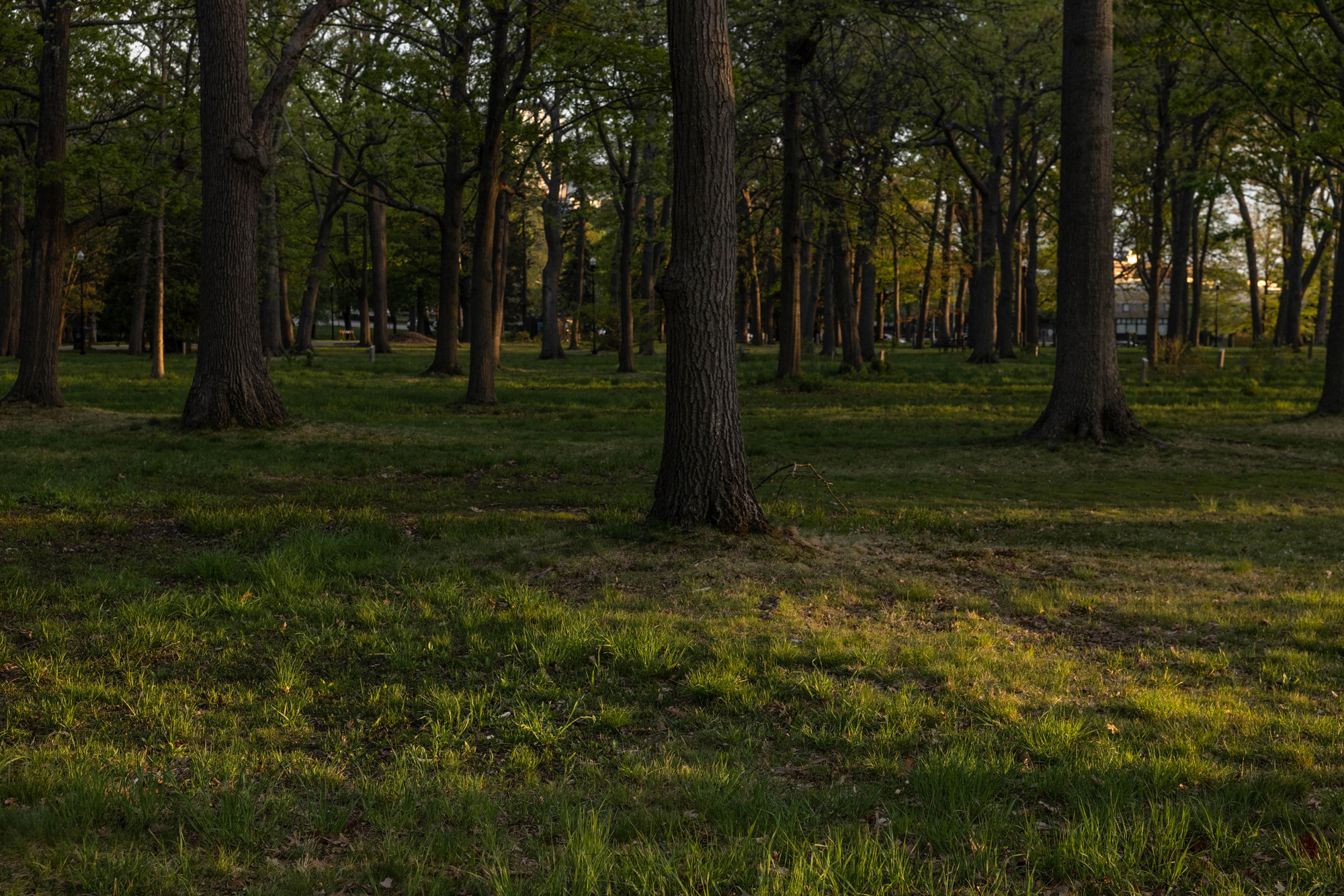 Media Name: 05172021_portlandme_rybus_-03-8870.jpg