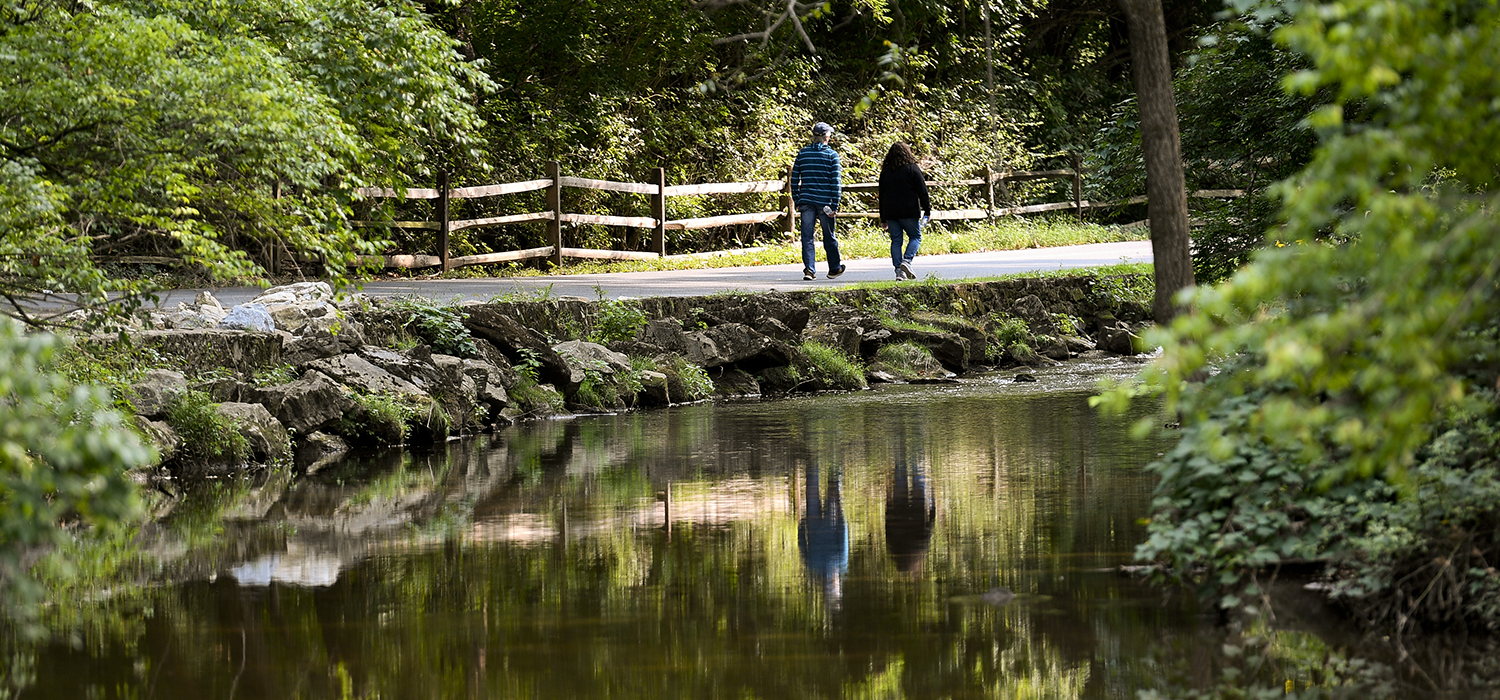 Trail next to Wyomissing Creek
