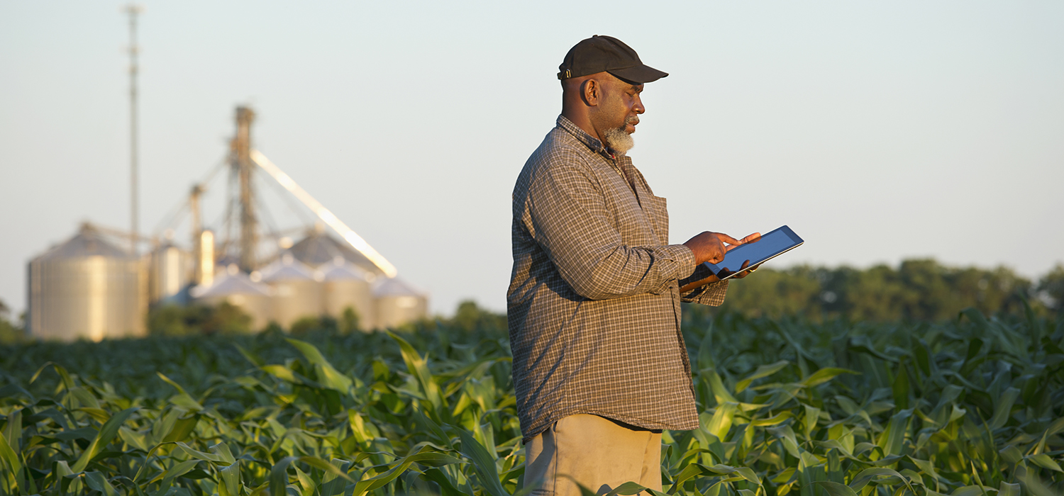 Media Name: gettyimages-463245219_crop.jpg