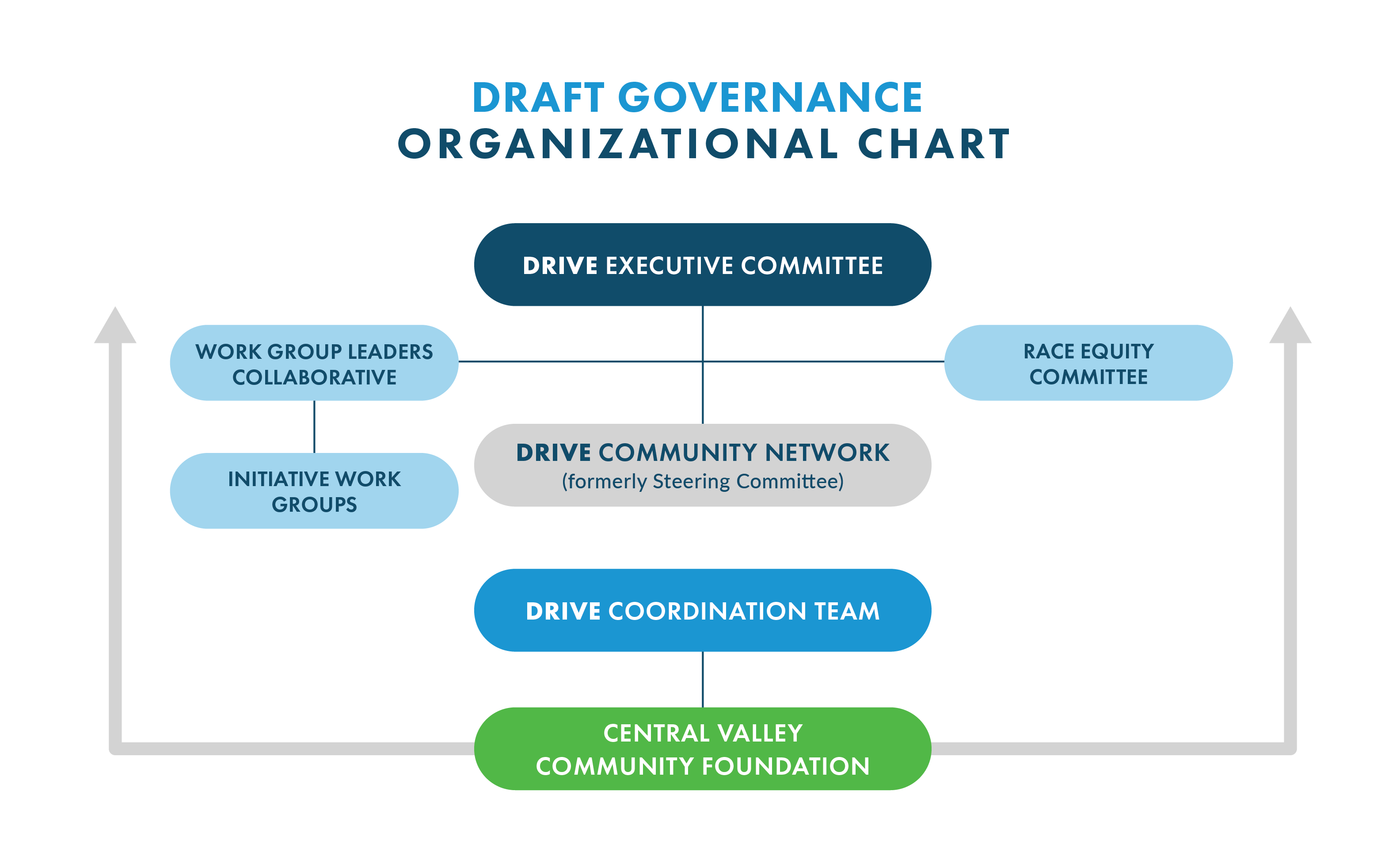 Infographic showing the draft structure of DRIVE’s governance organization