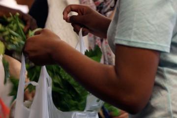 Media Name: image_for_website.jpg