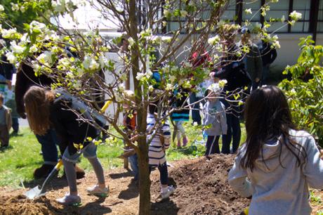 Media Name: shutterstock_136544312.jpg