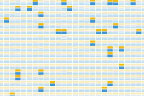 Nonprofit data visualization