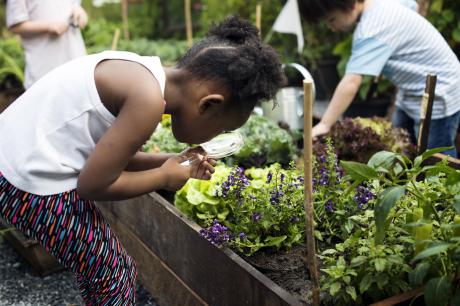 Media Name: shutterstock_640951786.jpg