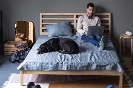Man sitting in bed using laptop