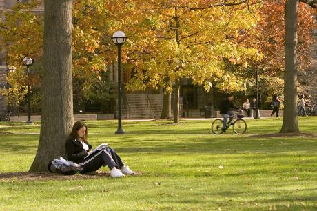 Girl seating at a tree