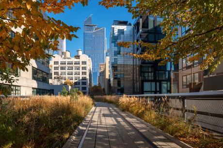 An image of the high line in New York City. 