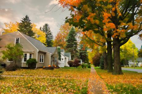 A suburban neighborhood during fall. 