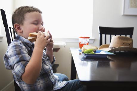 Child eating a sandwich at home.