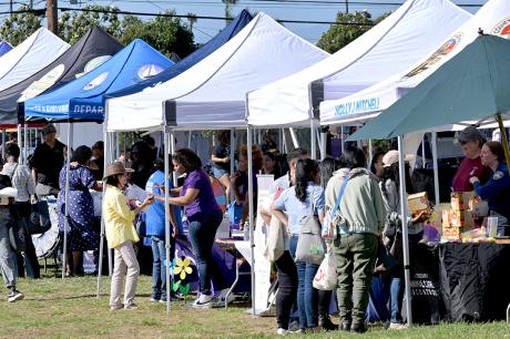 photo of Annual Juneteenth Celebration & Resource Fair at Victoria Community Regional Park in Carson in California