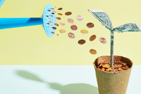 An illustration of a watering can and flower, with coins coming out of the watering can to represent the importance of wealth for growth.