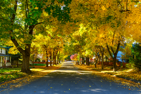 A residential street. 