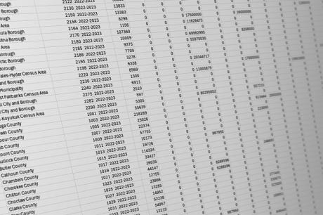 An image of a data set on a computer screen. 