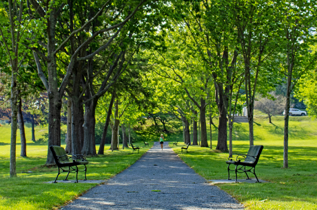 A person walks in a public park on a path flanked by benches.