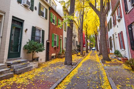 Media Name: gettyimages-1269388871_crop.jpg