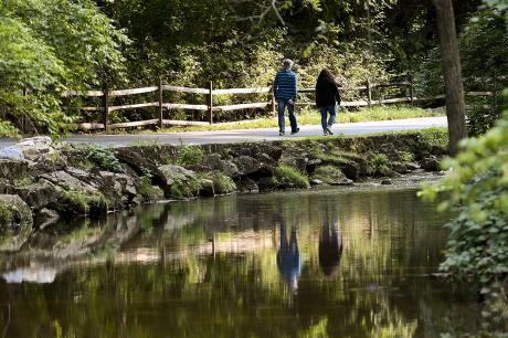 Trail next to Wyomissing Creek