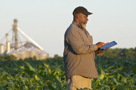 Media Name: gettyimages-463245219_crop.jpg