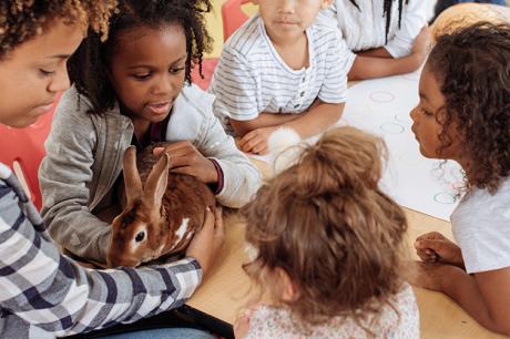 Media Name: gettyimages-930495644_crop.jpg