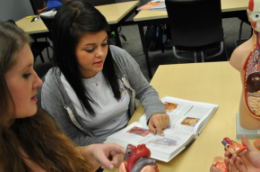 Media Name: 2000133.png